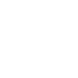 Visual Studio Debugger's icon